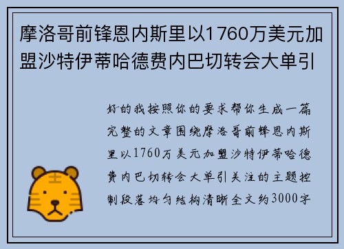 摩洛哥前锋恩内斯里以1760万美元加盟沙特伊蒂哈德费内巴切转会大单引关注