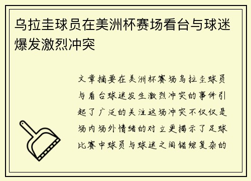 乌拉圭球员在美洲杯赛场看台与球迷爆发激烈冲突